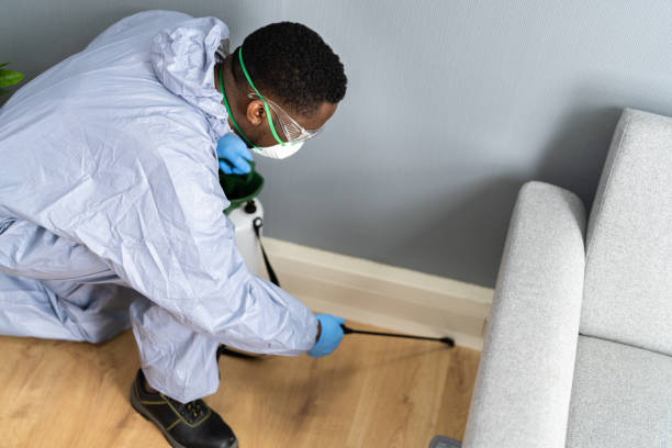 Best Fumigation Services  in Boyne City, MI